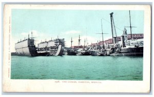 Hamilton Bermuda Postcard The Cambre and Ship View c1905 Antique Unposted