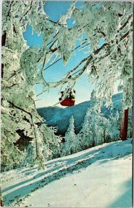 Postcard TOURIST ATTRACTION SCENE Stowe Vermont VT AK1254