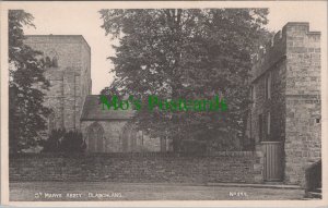 Northumberland Postcard - Blanchland, St Mary's Abbey  DC565