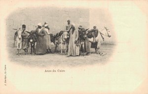 Egypt - Anes du Caire 03.02