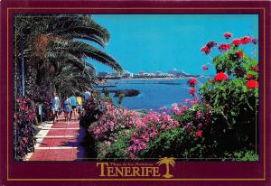 B33279 Tenerife Playa de Las Americas  spain