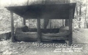 Real Photo - Old Tanning Vat, Gen Fremont - Santa Cruz Big Trees, California ...