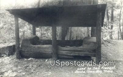 Real Photo - Old Tanning Vat, Gen Fremont - Santa Cruz Big Trees, CA