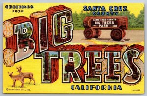 Greetings From Big Trees Park Santa Cruz County CA C1940's Linen Postcard R15