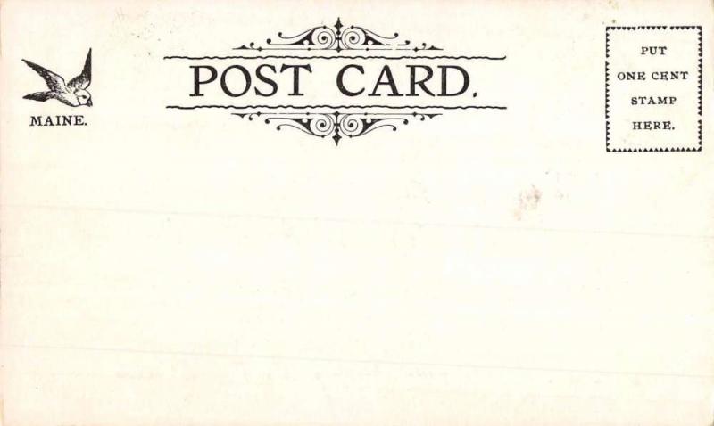 Penobscot River Maine South Orrington Boston Steamer Antique Postcard K93165