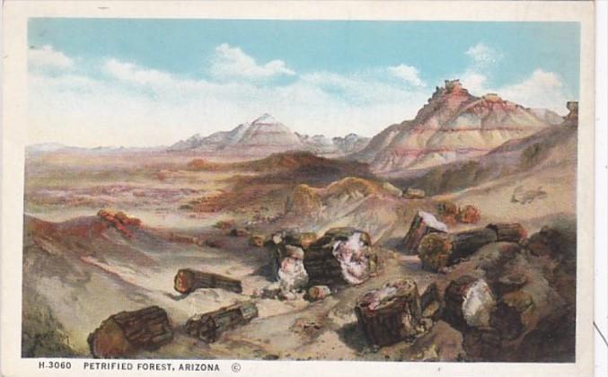 Arizona The Petrified Forest Fred Harvey