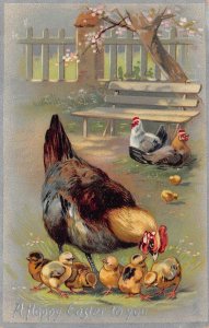 A HAPPY EASTER TO YOU-CHICKENS & CHICKS~TUCK EMBOSSED POSTCARD