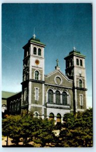 ST. JOHN'S, Newfoundland Canada~ ROMAN CATHOLIC CATHEDRAL Church c1960s Postcard