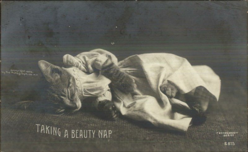 Kitty Cat Taking a Beauty Nap in Night Gown Rotograph Real Photo Postcard