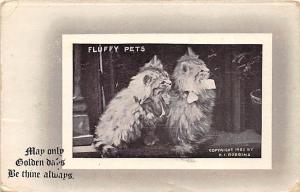 Fluffy Pets, HI Robbins Cat 1912 