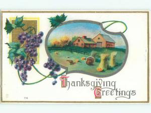 Divided-Back THANKSGIVING SCENE Great Postcard AA0555