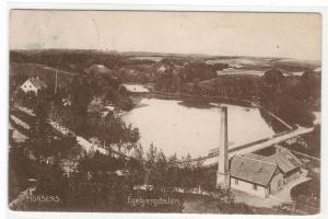 Egebjergalen Horsens Denmark 1908 postcard