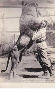 California El Monte Gay's Lion Farm Real Photo RPPC