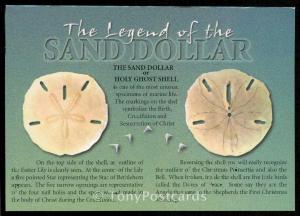 The Legend of the Sand Dollar or Holy Ghost Shell