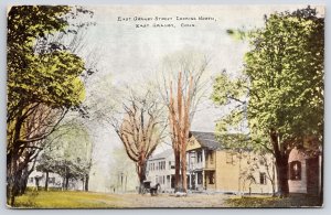 East Granby Street Looking North East Granby Connecticut CT Trees Postcard