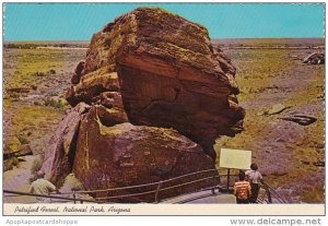 Arizona National Park Petrified Forest Newspaper Rock