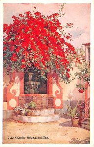 The Scarlet Bougainvillea Spain Unused 