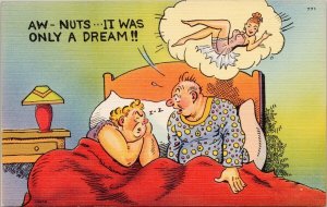 Comic Marriage Man Woman Sexy Woman 'Aw Nuts Only A Dream' Unused Postcard H30