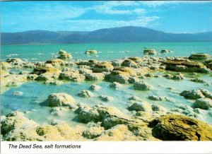 4~4X6 Postcards Israel, Asia  THE DEAD SEA  Tourists~Photographer~Swimmers~Salt