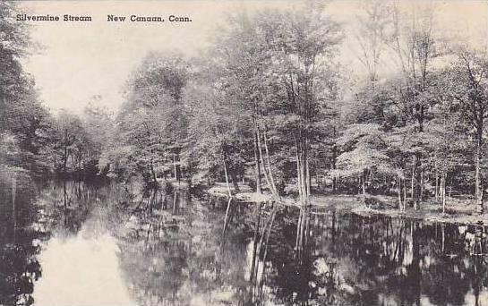 Connecticut New Canaan Silvermine Stream Albertype