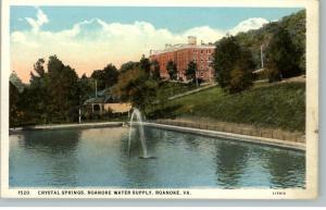 Roanoke VA Water Supply c1910 Postcard