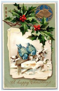 1909 Christmas Birds Winter Berries Ringing Bell Gloversville NY Posted Postcard