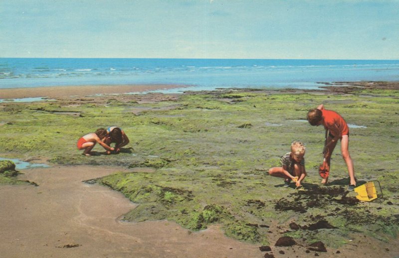 Building Sandcastles at Sunken Forest Borth 1970s Postcard