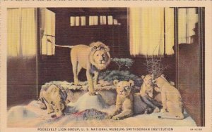 Roosevelt Lion Group U S National Museum Smithsonian Institution New York Cit...