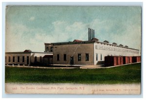 c1910's The Borden Condensed Milk Plant Springfield New York NY Antique Postcard