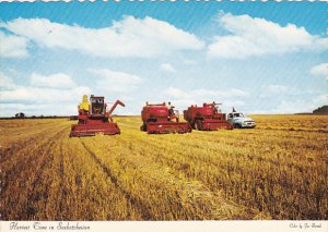 Canada Harvest Time In Saskatchewan