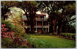 Vtg Natchez Mississippi MS The Elms Mansion Home 1950s View Old Postcard