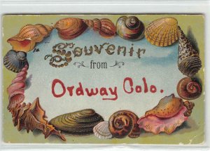 ORDWAY, CO Seashells Border Glitter Embossed 1908 Vintage Postcard