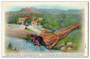 1940 Chief Health Water Richardson Spring Chico Butte County California Postcard