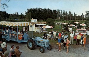 Palm Beach FL Knollwood Groves Tractor Town Fair Carnival Vintage Postcard