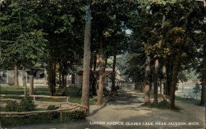 Jackson Michigan MI Linden Avenue Clarks Lake c1910 Vintage Postcard