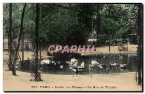 Paris Old Postcard Garden plants The large aviary