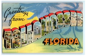 Greetings From Tallahassee FL Florida Postcard (C24)