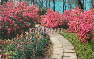 Postcard Modern Rip Van Winkle Gardens The Jefferson Island