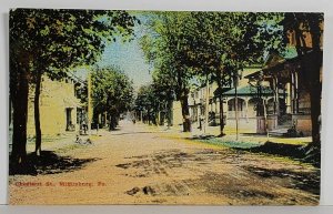 Pennsylvania Mifflinburg Pa Chestnut St 1910 to Six Mile Run Penna Postcard S13