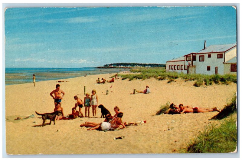 c1950's Beach Scene Point Du Chene New Brunswick Canada Vintage Posted Postcard