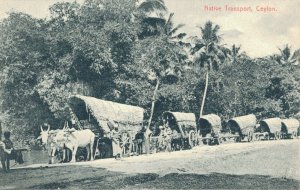 Sri Lanka Ceylon Native Transport Ceylon Ox Cart 06.38  