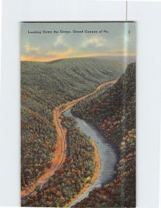 Postcard Looking Down the Gorge Grand Canyon of Pennsylvania USA