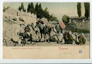 3098053 TURKEY SMYRNE-IZMIR CAMEL CARAVAN Vintage tinted PC