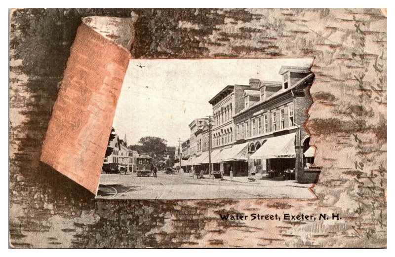 1908 Birch Bark Framed, Water Street, Exeter, NH Postcard