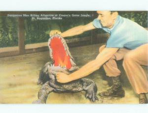 W-Border ALLIGATOR OPENS MOUTH AT CASPER'S GATORS JUNGLE St. Augustine FL E8284