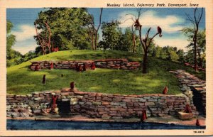 Iowa Davenport Fejervary Park Monkey Island 1954 Curteich