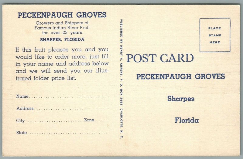 SHARPES FL PECKENPAUGH GROVES VINTAGE POSTCARD