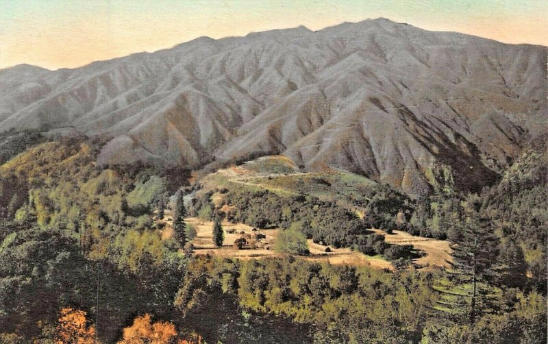 DEL MONTE CA~MOUNT MANUEL FROM CARMEL SAN SIMEON HWY~ALBERTYPE PHOTO POSTCARD