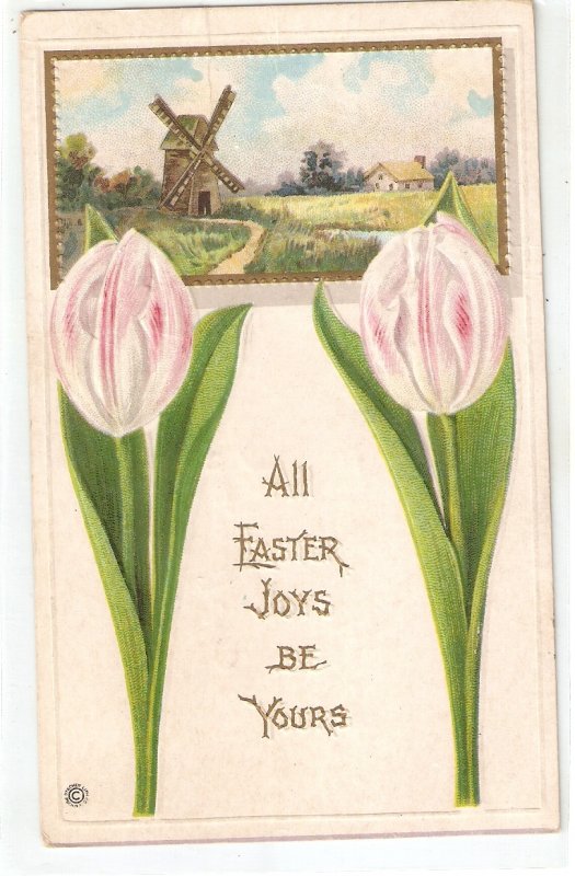 Tulip flowers.Landscape with windmill Old vintage American postcard