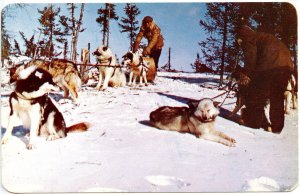 Canada - Ontario. The Hudson Bay Trading Co., Sled Dog Team